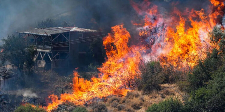 AFAD: Yangın çıkan 4 ilde, 3 bin 971 kişi tahliye edildi