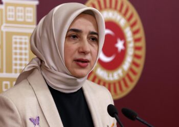 AKP’li Özlem Zengin’den ezber bozan çıkış: Dilruba tutuksuz yargılanmalı