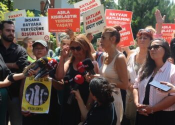 AKP’li belediyenin katliam otopsisi: Zehirleyerek öldürmüşler