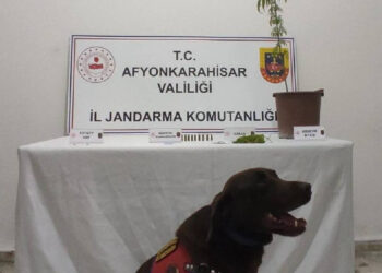 Afyonkarahisar'da Zehir Tacirlerine Baskın: Çeşitli Uyuşturucu Maddeler Ele Geçirildi