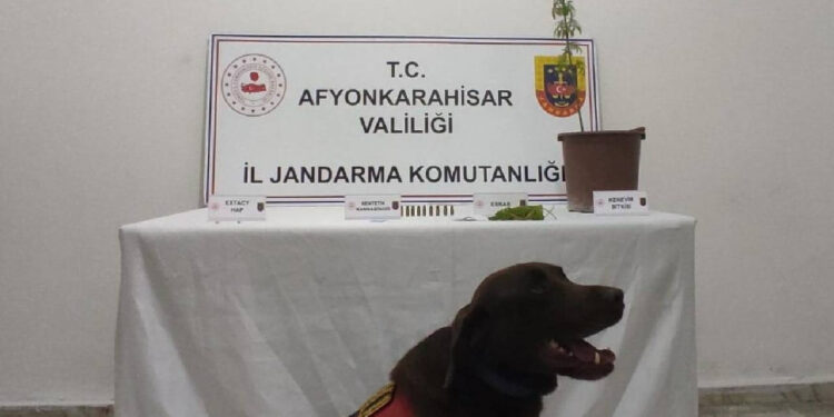 Afyonkarahisar'da Zehir Tacirlerine Baskın: Çeşitli Uyuşturucu Maddeler Ele Geçirildi