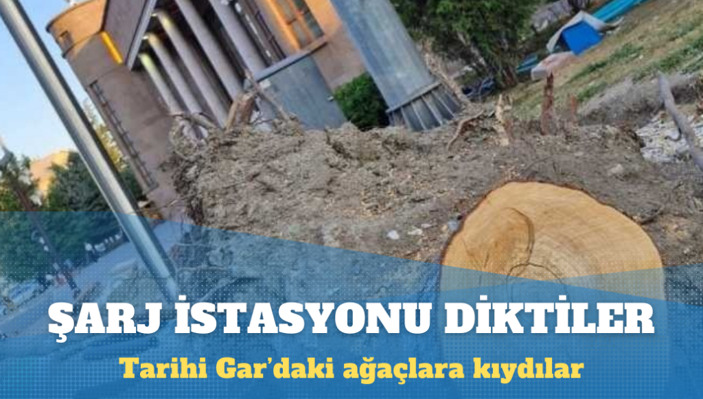 Ağaçları kesip şarj istasyonu diktiler