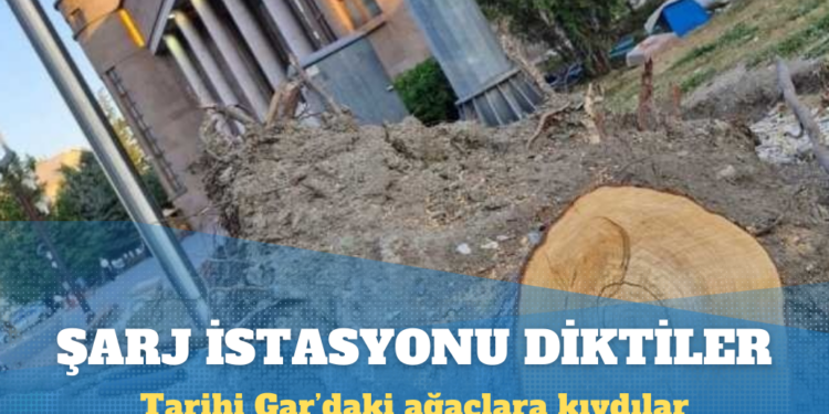 Ağaçları kesip şarj istasyonu diktiler