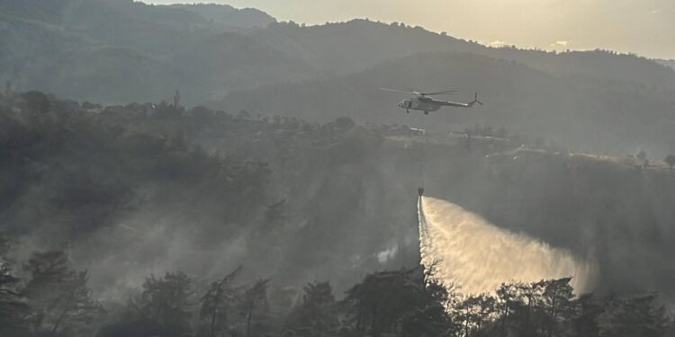 Alevler yerleşim yerlerine ulaşmış, bir mahalle boşaltılmıştı; Muğla'daki orman yangını kontrol altında