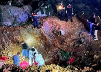 Altındağ'da bulunan köpek cesetlerine yönelik yürütülen soruşturmada ifadesi alınan Veteriner İşleri Müdürü, hayvan hakları savunucularını suçladı