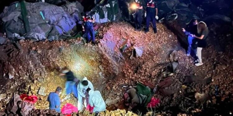 Altındağ'da bulunan köpek cesetlerine yönelik yürütülen soruşturmada ifadesi alınan Veteriner İşleri Müdürü, hayvan hakları savunucularını suçladı