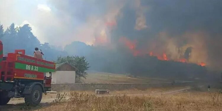 Ankara’da başlayıp Bolu’ya sıçrayan yangın sürüyor! Vatandaşlar tahliye ediliyor