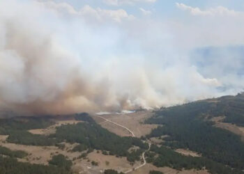Ankara’daki orman yangını Bolu’ya sıçradı