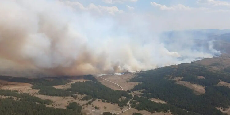 Ankara’daki orman yangını Bolu’ya sıçradı