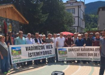 Artvin Şavşat'ta 'Hanlı HES Projesi' için yeniden keşif kararı