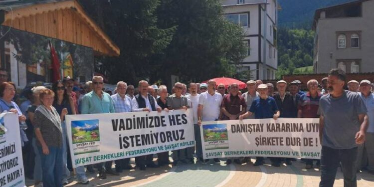 Artvin Şavşat'ta 'Hanlı HES Projesi' için yeniden keşif kararı