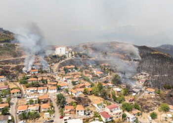 TTB'den İzmir yangını açıklaması: Aşırı duman ve kül yağmuru yerleşim alanlarına yayılmakta