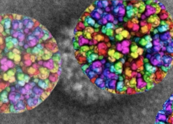 Avrupa Alarma Geçti! Yeni Varyant Fransa’da Tespit Edildi