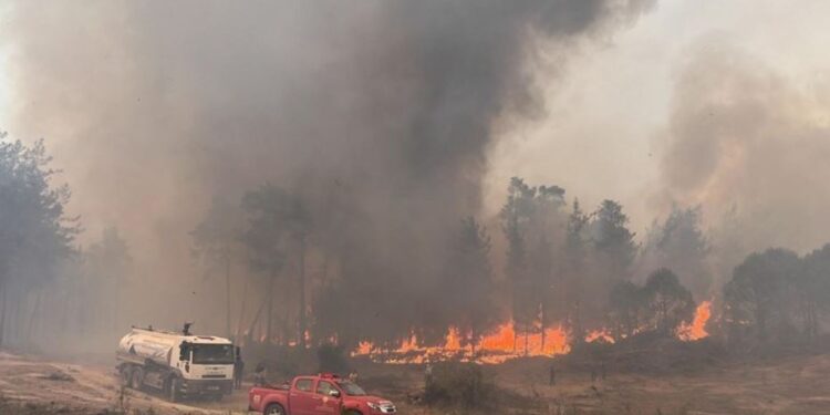 Aydın’da yangın 25 saattir söndürülemiyor; tahliyeler başladı: “Üç helikopterle söndürmeye çalışıyoruz…”