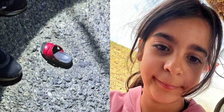 Baba Güran, Bakan Yerlikaya ile görüştü; CHP'li Tanrıkulu arama çalışmalarına destek verdi