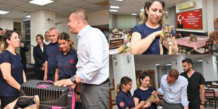 Balıkesir'de yangından kurtarılan "Biber", tedavisinin ardından sahibine teslim edildi