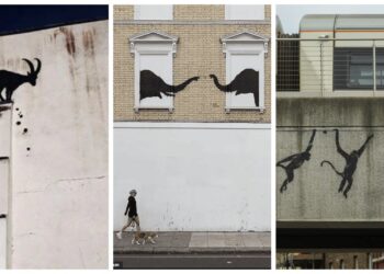 Keçi, fil, şimdi de 'üç maymun': Banksy'nin hayvan serisi ne anlama geliyor?