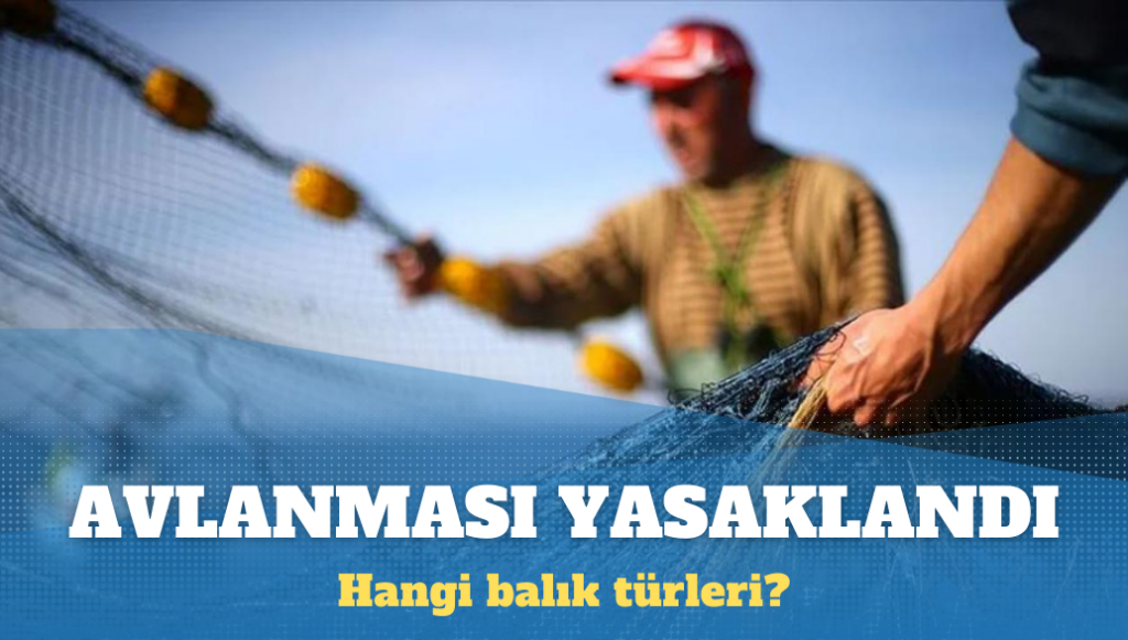 Bazı balık türlerinin avlanması yasaklandı