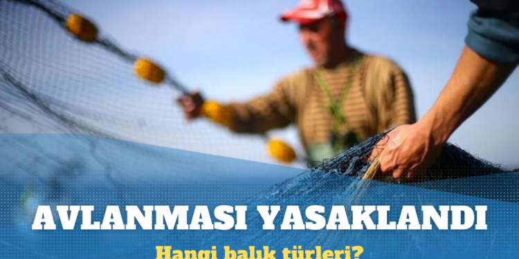 Bazı balık türlerinin avlanması yasaklandı