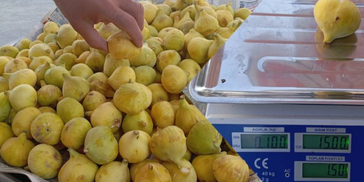 Ben bunu nasıl alıp yiyeceğim?