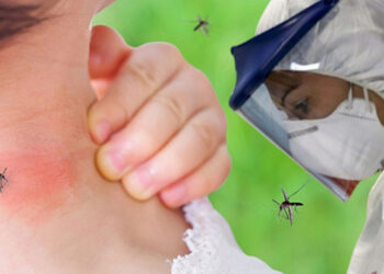 Bir Virüs Daha Türkiye'nin Kapısında! Sivrisineklerden Bulaşıyor, Komşuda Ölümler Arttı