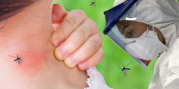 Bir Virüs Daha Türkiye'nin Kapısında! Sivrisineklerden Bulaşıyor, Komşuda Ölümler Arttı