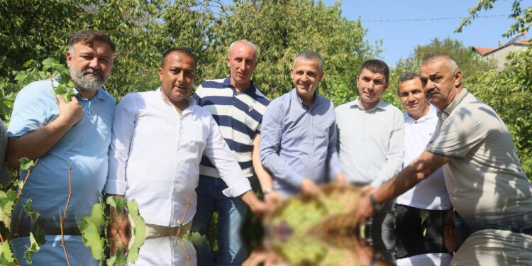 Bu Sene Bolca Yetişti, Çiftçiler Hasada Yetişemiyor