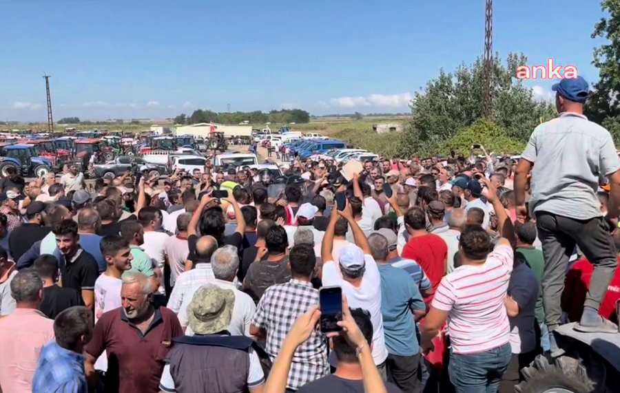 Bursa’da domates üreticileri yolu kapatıp slogan attı: ‘Hükümet istifa’