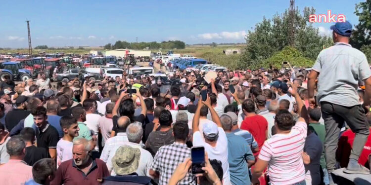 Bursa’da domates üreticileri yolu kapatıp slogan attı: ‘Hükümet istifa’