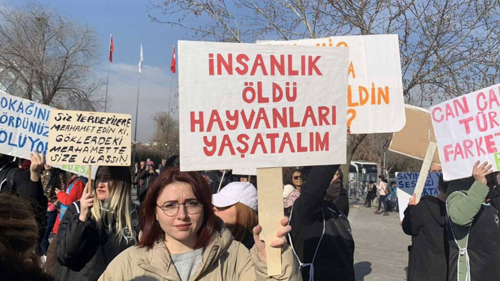 CHP, Katliam Yasası'nı AYM'ye Taşıyor: Başvuru Bu Hafta Yapılacak