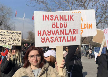 CHP, Katliam Yasası'nı AYM'ye Taşıyor: Başvuru Bu Hafta Yapılacak