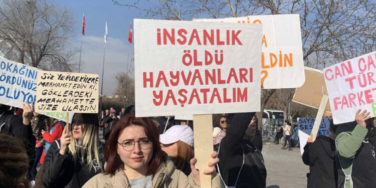 CHP, Katliam Yasası'nı AYM'ye Taşıyor: Başvuru Bu Hafta Yapılacak