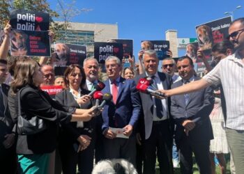 CHP 'hayvan katliamı' yasasını AYM'ye taşıdı