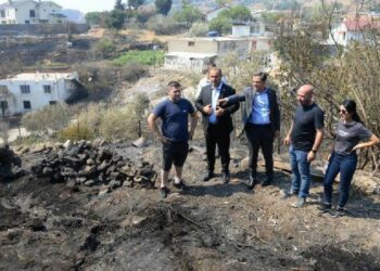 CHP heyeti yangın bölgesinde incelemelerde bulundu
