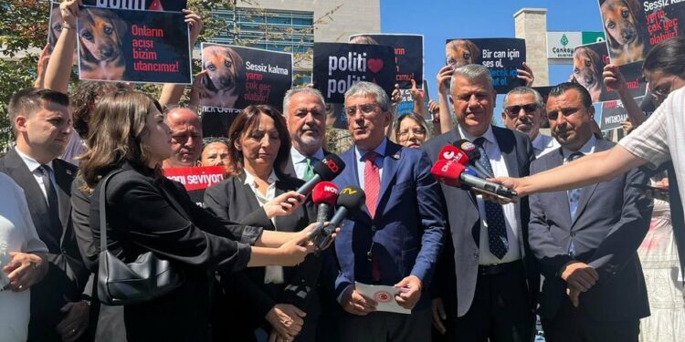 CHP sokak hayvanları yasasını AYM'ye taşıdı