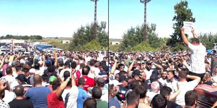 Çiftçiler sokağa indi, ürünler tarlada kaldı