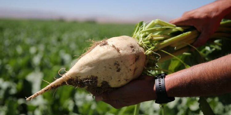 Çiftçilere mazot, gübre ve prim desteği 17 üründe kaldırıldı