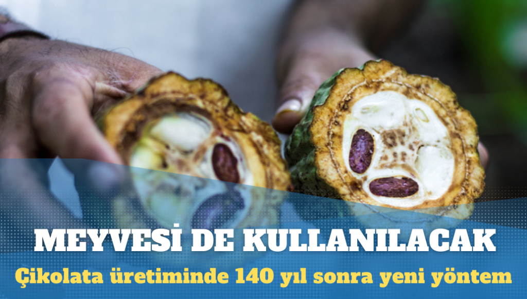 Çikolata üretiminde 140 yıl sonra yeni yöntem: Meyvesi de kullanılacak