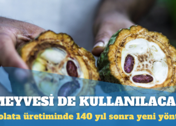 Çikolata üretiminde 140 yıl sonra yeni yöntem: Meyvesi de kullanılacak