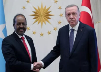 Cumhurbaşkanı Erdoğan'dan Somali Cumhurbaşkanı ile Görüşme