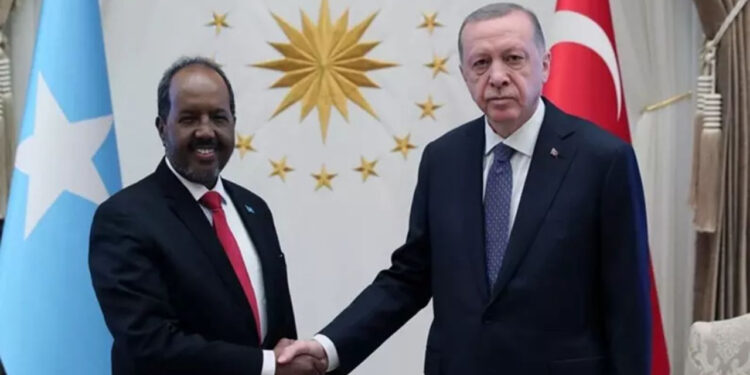 Cumhurbaşkanı Erdoğan'dan Somali Cumhurbaşkanı ile Görüşme