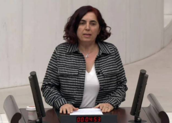 DEM Partili Sevilay Çelenk, Eskişehir'de yaşanan saldırıyı TBMM gündemine taşıdı
