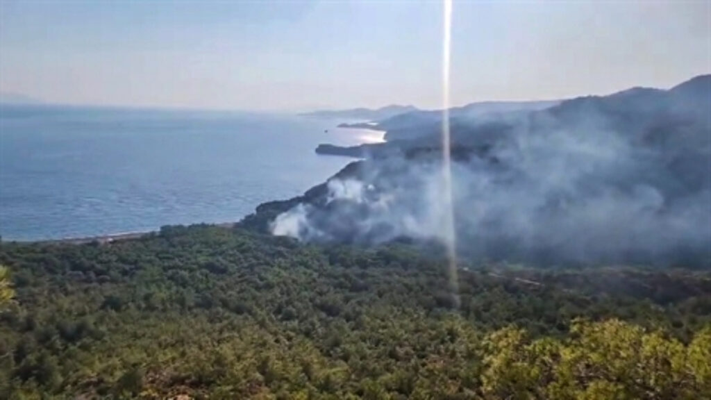 Datça'daki Orman Yangınına İlişkin Bir Kişi Gözaltına Alındı