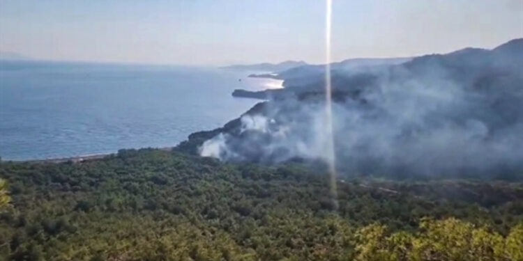 Datça'daki Orman Yangınına İlişkin Bir Kişi Gözaltına Alındı