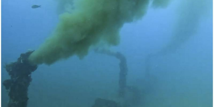 Deniz kirliliğine neden olan Antalya Büyükşehir Belediyesi'ne 464 bin 585 lira para cezası