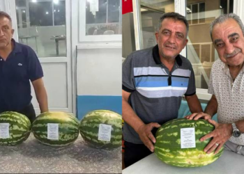 Denizli’de para etmeyen karpuz, düğün davetiyesi oldu; tam 6 ton dağıttı