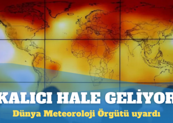 Dünya Meteoroloji Örgütü: Sıcaklıklar kalıcı hale geliyor