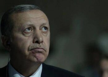 Erdoğan Instagram eleştirilerine "ev zencisi" dedi: Ev zencisi nedir?