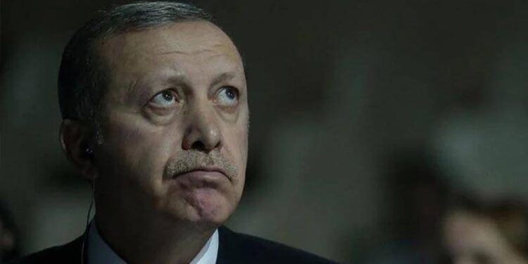 Erdoğan Instagram eleştirilerine "ev zencisi" dedi: Ev zencisi nedir?