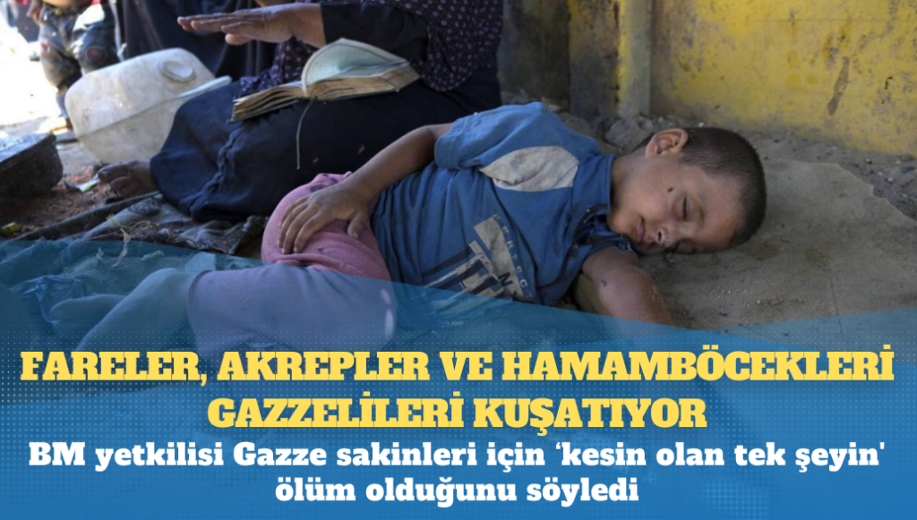 Fareler, akrepler ve hamamböcekleri Gazzelileri kuşatıyor